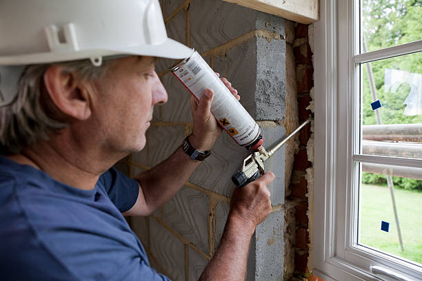 Best Eco-Friendly Insulation in Wahese, NC