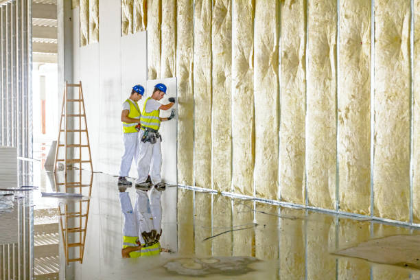 Best Spray Foam Insulation in Wahese, NC